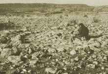 Serra Linta